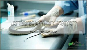 veterinary care and treatment