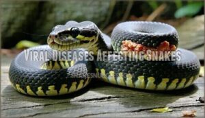 viral diseases affecting snakes