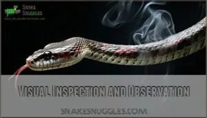 visual inspection and observation visual inspection and observation