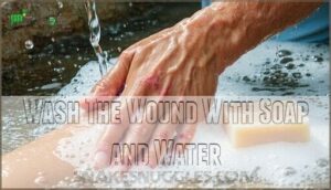 wash the wound with soap and water