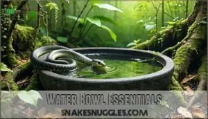 water bowl essentials water bowl essentials