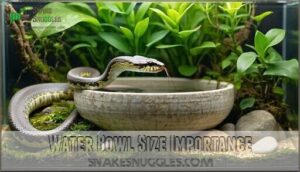 water bowl size importance