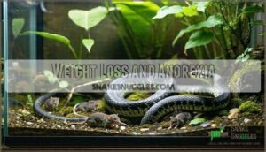 weight loss and anorexia