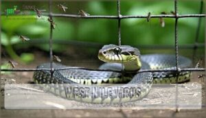 west nile virus
