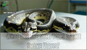 what are the symptoms of the snake virus