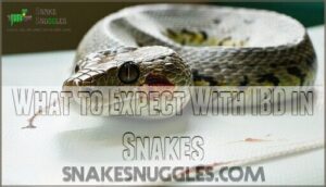 what to expect with ibd in snakes