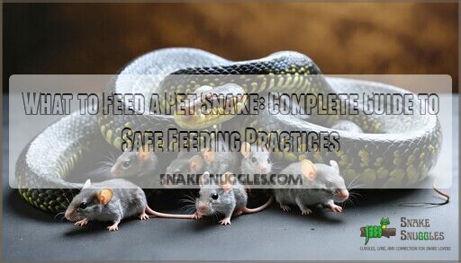 What to Feed a Pet Snake: Complete Guide to Safe Feeding Practices - Snake Feeder Options For Pets