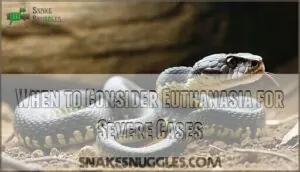 when to consider euthanasia for severe cases when to consider euthanasia for severe cases