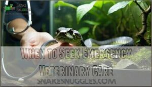when to seek emergency veterinary care