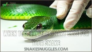 when to seek veterinary care for your snake