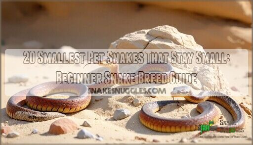20 Smallest Pet Snakes That Stay Small: Beginner Snake Breed Guide