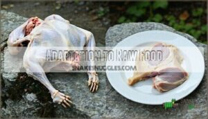 adaptation to raw food