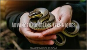 advanced handling techniques