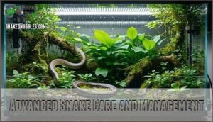advanced snake care and management