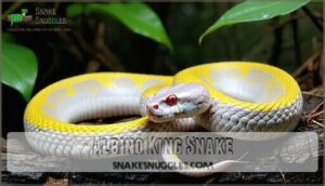 albino king snake