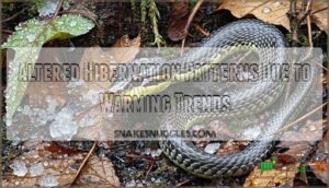 altered hibernation patterns due to warming trends