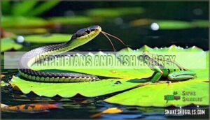 amphibians and fish as prey