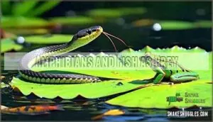 amphibians and fish as prey amphibians and fish as prey