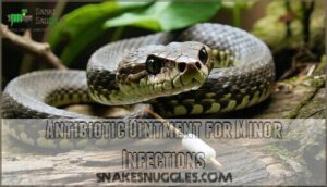 antibiotic ointment for minor infections