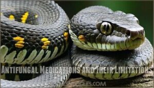 antifungal medications and their limitations