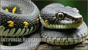 antifungal medications and their limitations antifungal medications and their limitations