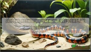 arizona mountain kingsnake care