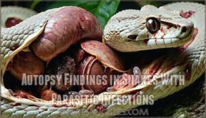 autopsy findings in snakes with parasitic infections