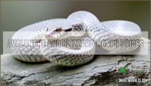 avalanche and blizzard morph prices