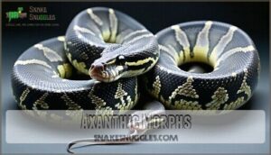 axanthic morphs