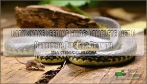 baby snake feeding guide