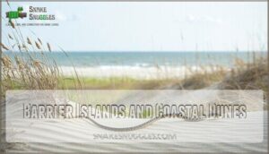 barrier islands and coastal dunes