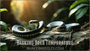 basking area temperature