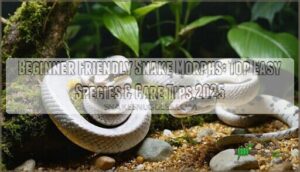 beginner friendly snake morphs