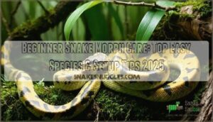 beginner snake morph care