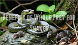 benefits of whole prey for snakes