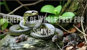 benefits of whole prey for snakes benefits of whole prey for snakes