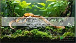best starter snake species