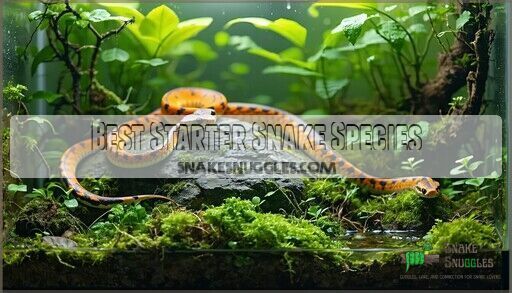 20 Smallest Pet Snakes That Stay Small: Beginner Snake Breed Guide