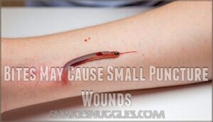 bites may cause small puncture wounds