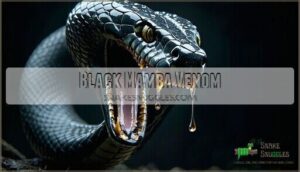 black mamba venom