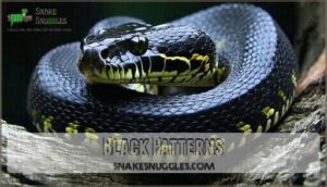 black patterns