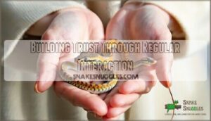 building trust through regular interaction