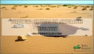 burrowing behaviors for temperature regulation burrowing behaviors for temperature regulation
