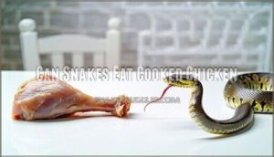 can snakes eat cooked chicken