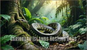 caribbean islands hosting boas