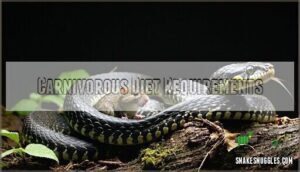 carnivorous diet requirements