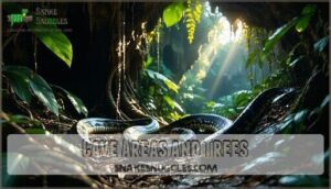 cave areas and trees