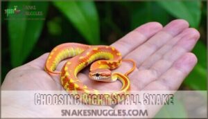 choosing right small snake