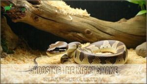 choosing the right snake