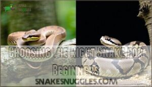 choosing the right snake for beginners
